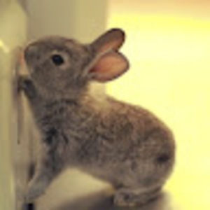 Meet your Posher, Sydnee